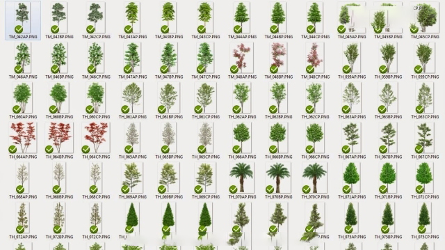 400 MB Thư viện Photoshop cây – dạng PNG (bản đẹp)